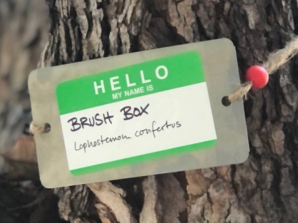 Name Tags for Trees? What Does it&nbsp;Mean?